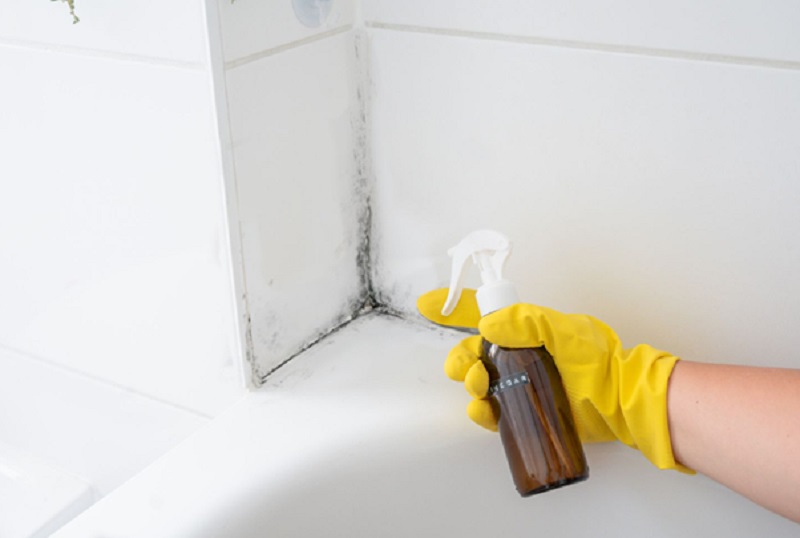 Killing Mould Keeps Your home Hygienic: How?
