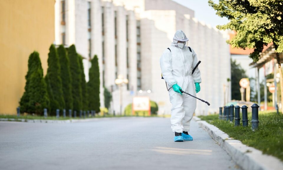 Safety Measures in Pest Control Services