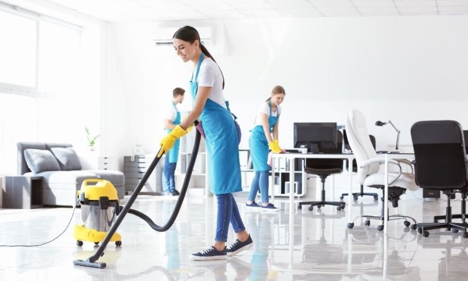 professional cleaning service