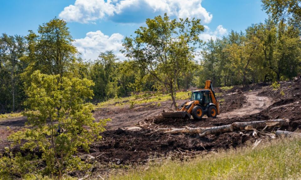 Land Clearing